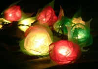Red White Green  Rose Flower Head - fairy lights